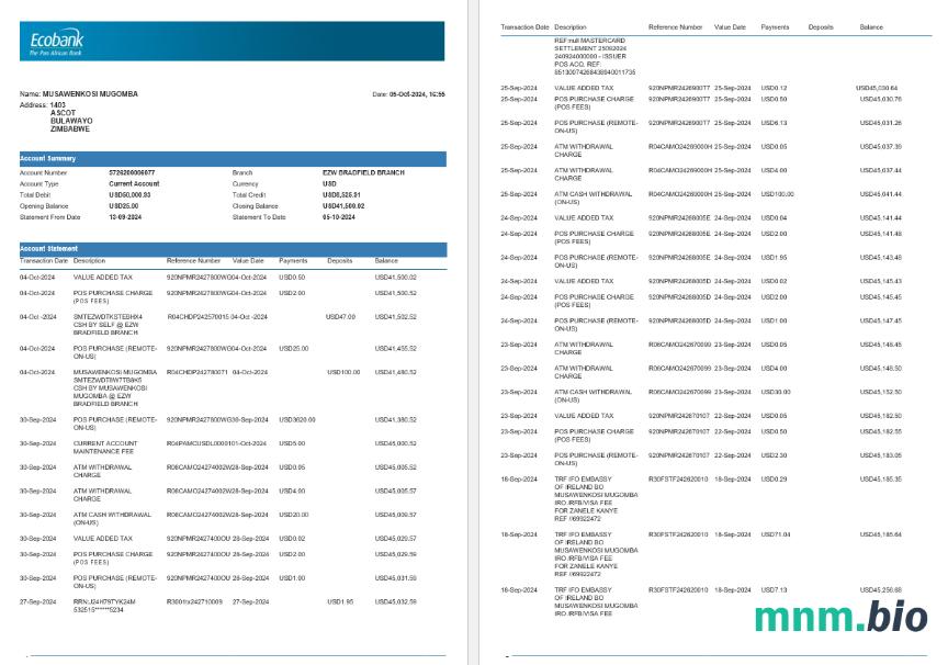Zambia United Bank For Africa wyciąg bankowy szablon Worda i PDF